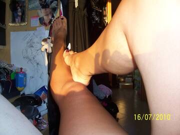 Public Photo of Stella-Argentata